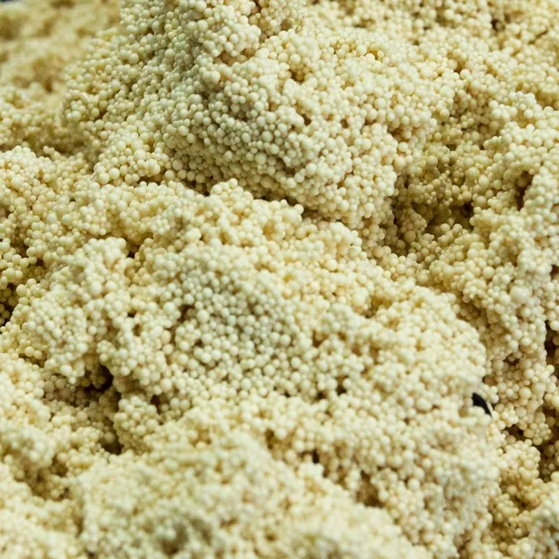 Adsorbent Resin For Medical Analysis